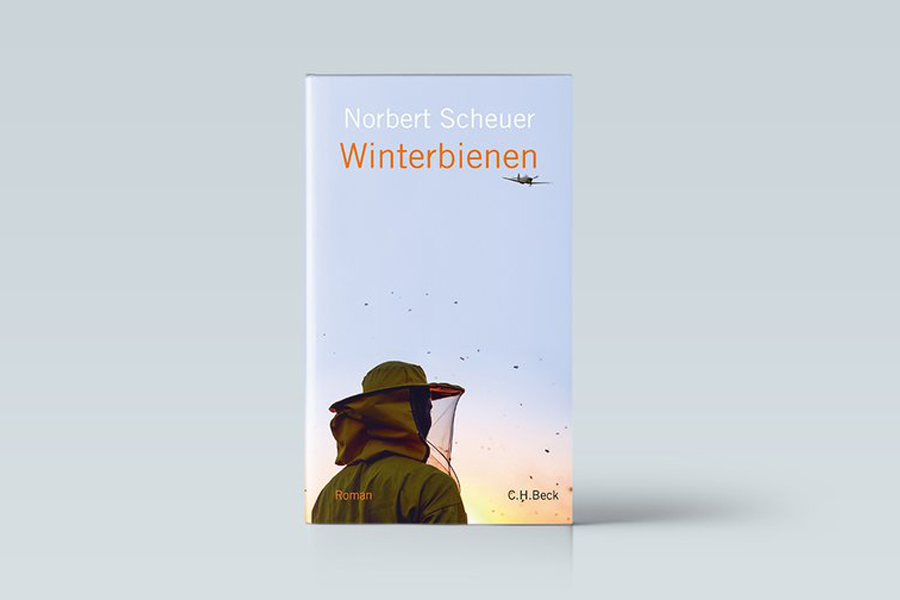 Winterbienen und Weihnachtslektüre